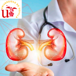 Máster Propio CFP Universidad de Sevilla - Donación y Trasplante de órganos: trasplante renal 2022